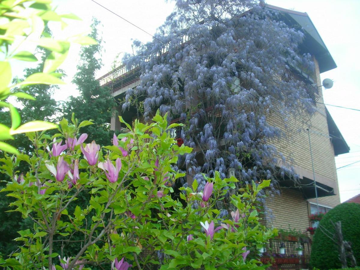 Apartman Wisteria 弗拉涅 外观 照片