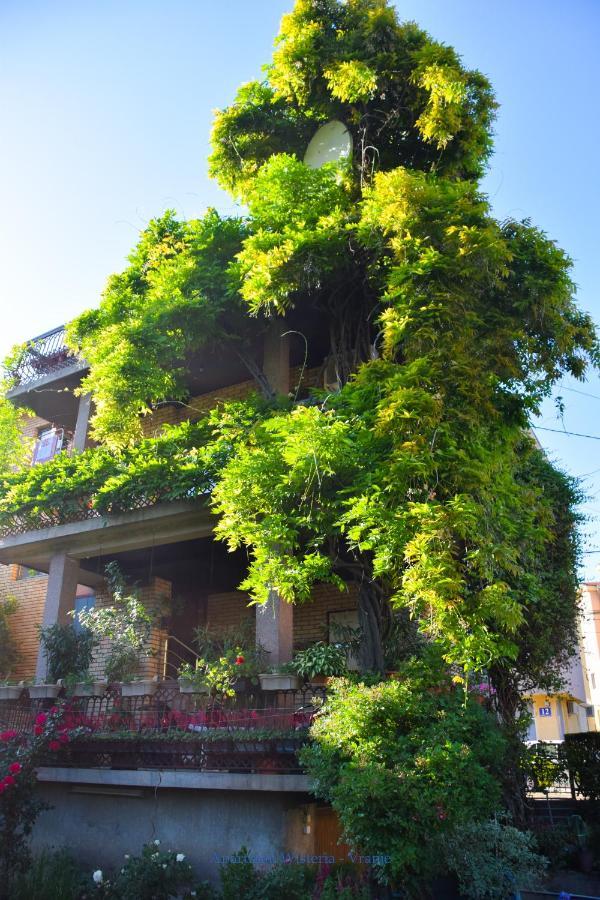 Apartman Wisteria 弗拉涅 外观 照片